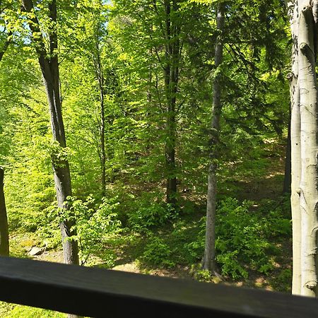 Apartament Z Pieknym Widokiem Na Las Szklarska Poręba Εξωτερικό φωτογραφία