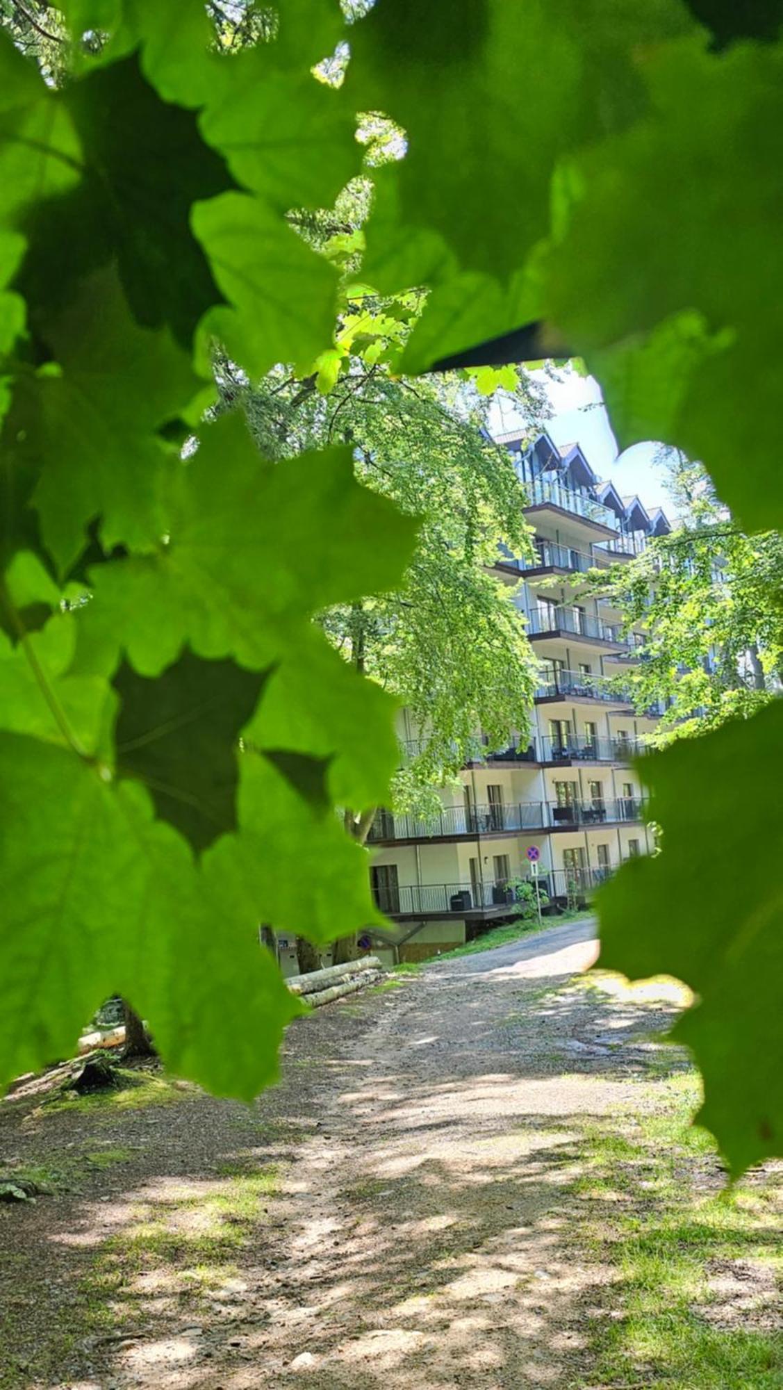Apartament Z Pieknym Widokiem Na Las Szklarska Poręba Εξωτερικό φωτογραφία